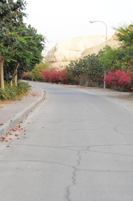 Villa Dead Sea Dawn Neot HaKikar Exterior foto